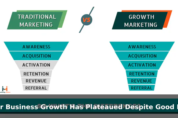 Your Business Growth Has Plateaued Despite Good Products
