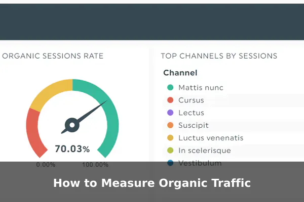 How to Measure Organic Traffic