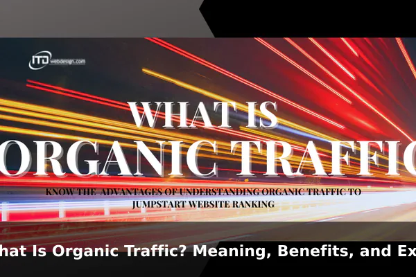 What Is Organic Traffic? Meaning, Benefits, and Examples