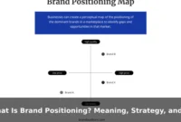 What Is Brand Positioning? Meaning, Strategy, and Examples What Is Brand Positioning? Meaning, Strategy, and Examples