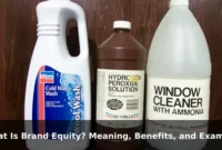 What Is Brand Equity? Meaning, Benefits, and Examples What Is Brand Equity? Meaning, Benefits, and Examples