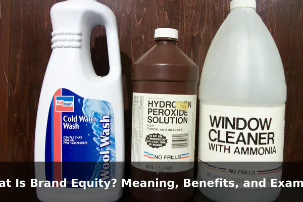 What Is Brand Equity? Meaning, Benefits, and Examples