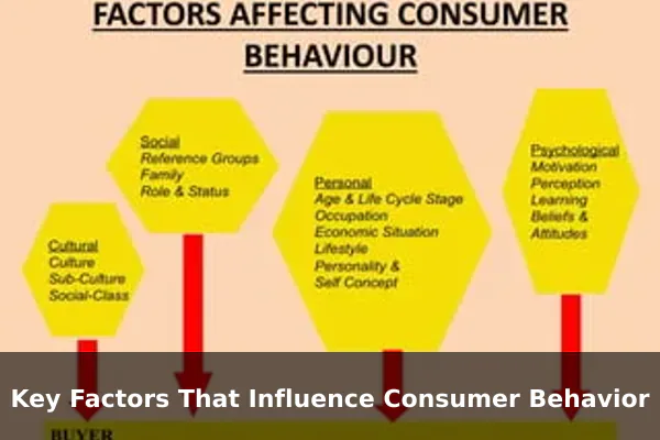 Key Factors That Influence Consumer Behavior