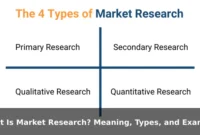 What Is Market Research? Meaning, Types, and Examples