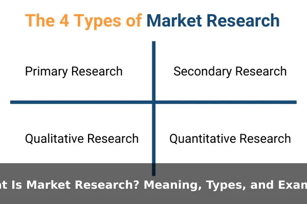 What Is Market Research? Meaning, Types, and Examples
