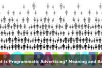 What Is Programmatic Advertising? Meaning and Basic Explanation What Is Programmatic Advertising? Meaning and Basic Explanation